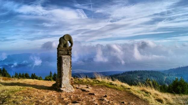 zdroj foto: www.dolnimorava.cz