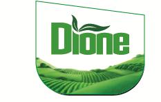 Dione